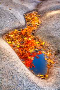 Rock Pool-9726.jpg Rock Pool-9726.jpg